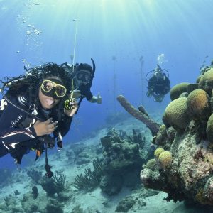 Blue Bay Scuba Diving