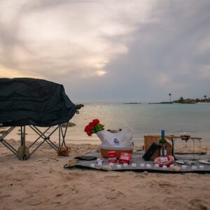 picnic basket